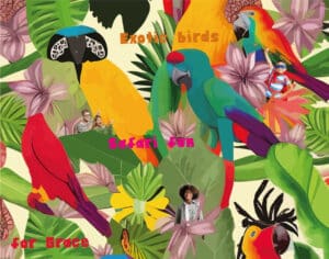 Jungle Jamboree