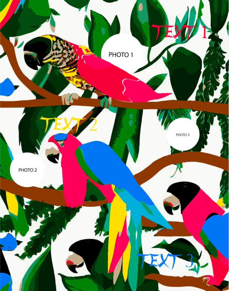 zoo-6